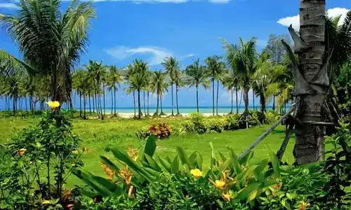 Andamania Beach Resort, Khaolak - SHA plus - 60