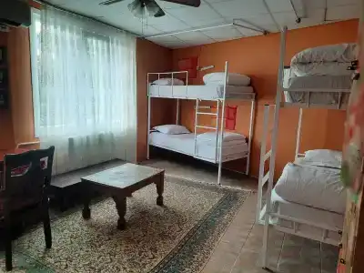 Bahaus Guesthouse Hostel - 14