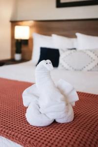 Estero Inn - 116