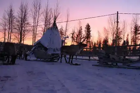 Levi Northern Lights Huts - 15