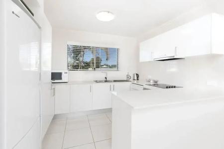 Noosa River Palms - 221