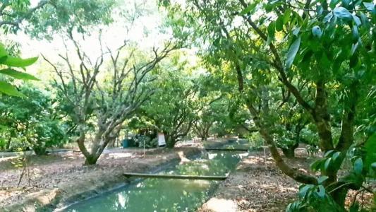 Warakorn Baansuan - 6