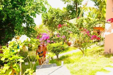 Daisy Resort - 45
