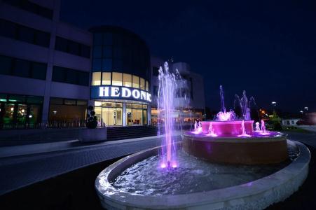 Hedonic - 19