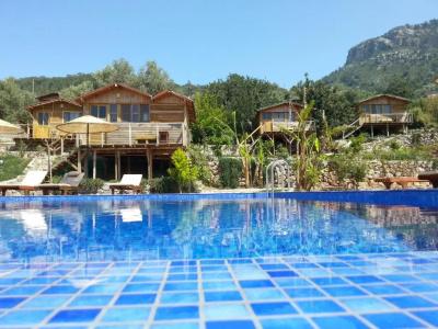 Olive Garden Kabak - 13