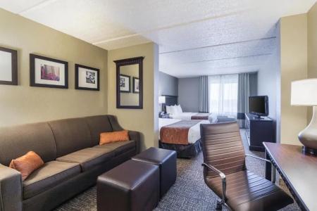 Comfort Suites Austin Airport - 77