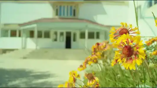 Тулпар - 17