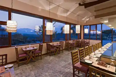 Bar Peepal - 39
