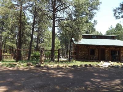 Arizona Mountain Inn & Cabins - 158