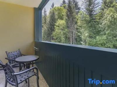 Alpine Club By Diamond Resorts - 60