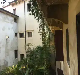 Gabbia d'Oro - 19