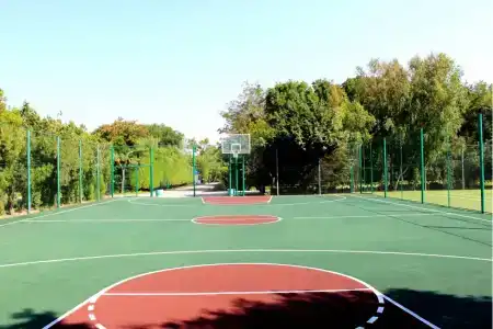 Лучезарный - 15