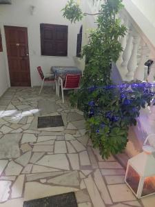Evelina Pension! - 164