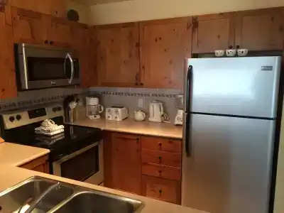 Whistler Superior Properties - 11