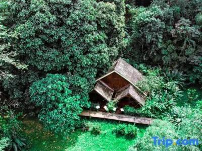 Khaosok Riverside Cottages - 99