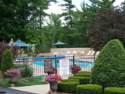 Tall Pines - 14