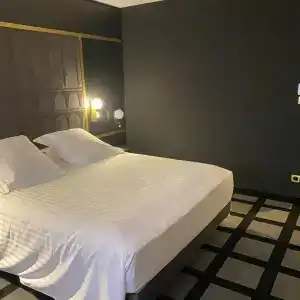 Mercure Orléans Centre Bords de Loire - 40