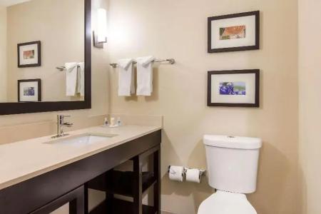 Comfort Suites - South Austin - 38