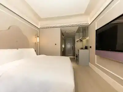 Mercure Xi'an Dayan Pagoda - 51