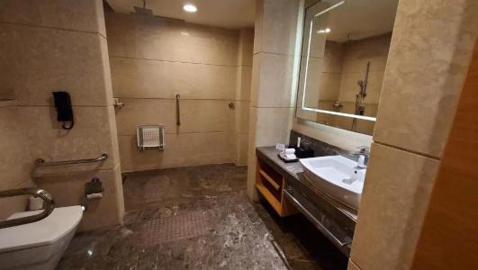Crowne Plaza Jaipur Tonk Road, An Ihg - 59