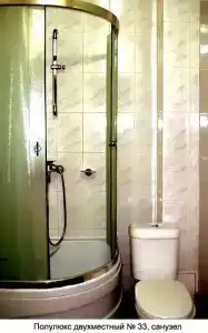 Гвоздика - 12