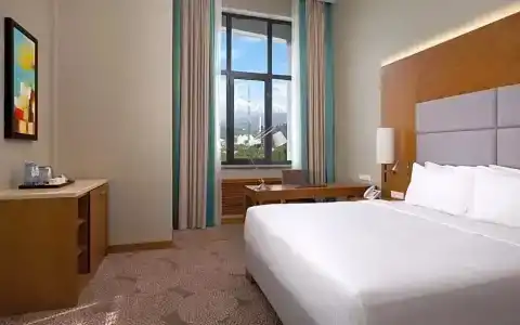 DoubleTree by Hilton Almaty - 29