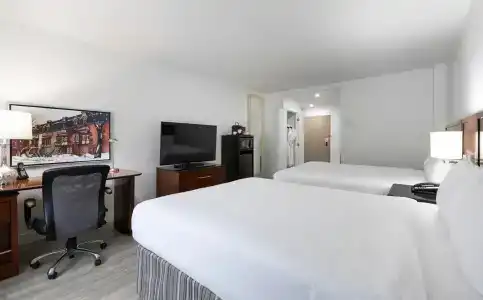 Le Nouvel - 5