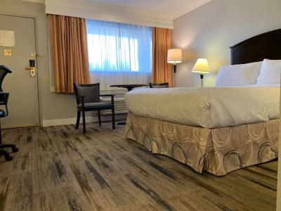 Best Western Plus - 52