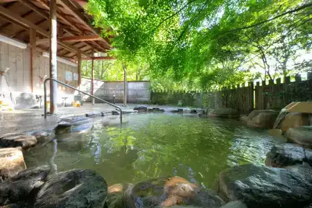 Yumoto Ueyama Ryokan - 24