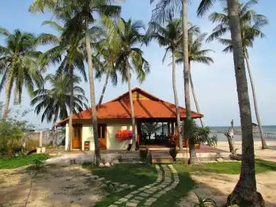 Mango Beach Resort - 17