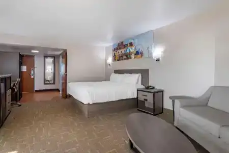 Clarion Pointe Galveston Seawall - 65