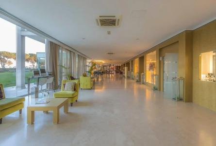 Pisa Tower Plaza - 16