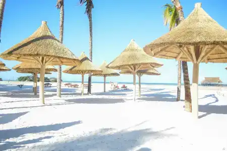 Toa & Spa Zanzibar - 12