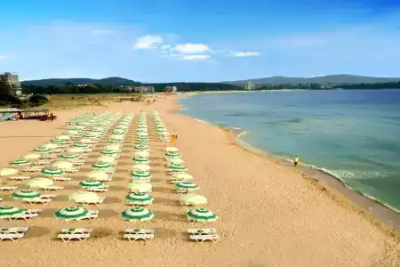 Forest Beach - 20