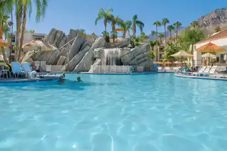 Palm Canyon - 9