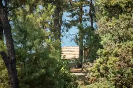 Kobuleti Garden Inn - 36