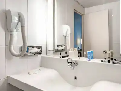 Hôtel Novotel Valenciennes - 8