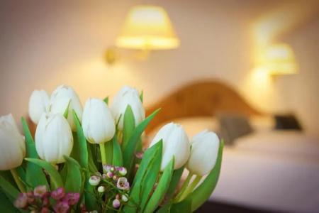 Concordia Wellness& SPA - 17