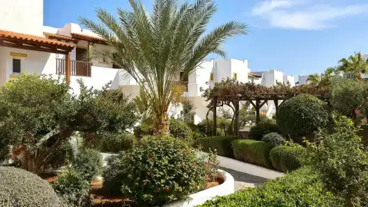 Alexander Beach & Village Resort - 193