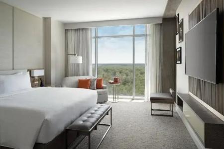 Jw Marriott Orlando Bonnet Creek Resort & Spa - 102