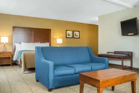 Comfort Inn The Pointe - 13