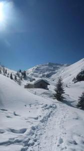 Active Ancora - 16
