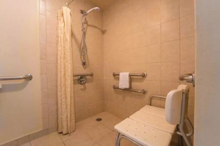 Royal Plaza Inn - 84