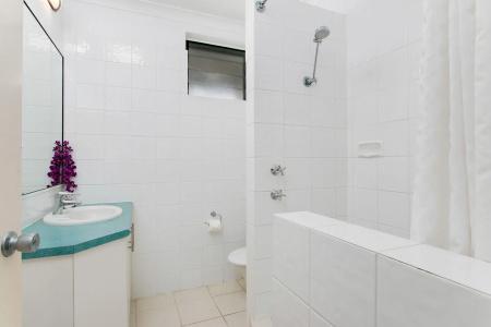 Cairns City Palms - 8