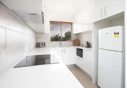 Noosa River Palms - 89