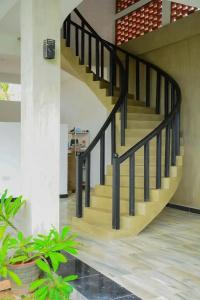 Star White - Negombo - 3