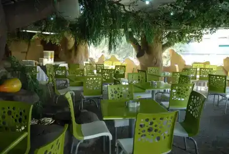 Aranzazu Eco - 20