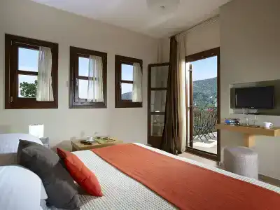 Pilion Terra - 4