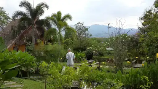 Pura Vida - 18