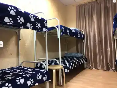 Золотой ключик - 9
